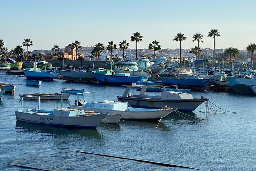 Small boats moored in a harbor lined with palm trees